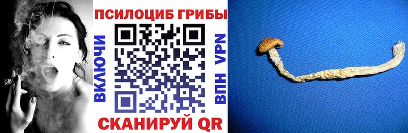 Галлюциногенные грибы мицелий  где продают наркотики  ОМГ ОМГ рабочий сайт  Всеволожск 