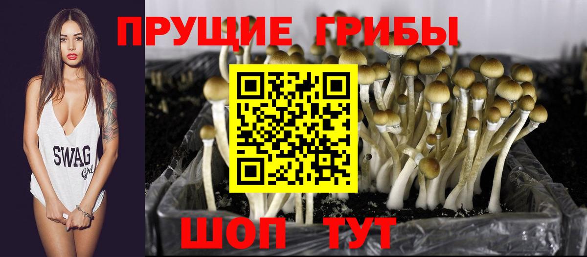 Псилоцибиновые грибы мухоморы Всеволожск
