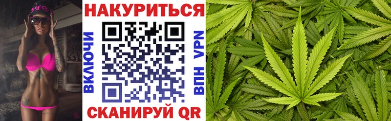 где купить наркоту  Всеволожск  mega вход  Бошки Шишки семена 